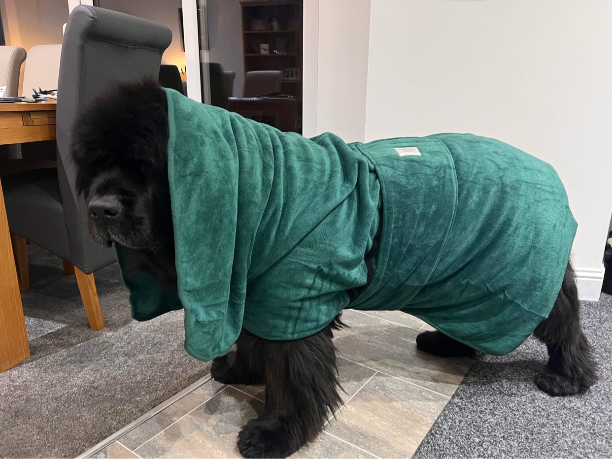 Drying Robes for Newfs XXXL various colours/one size only The