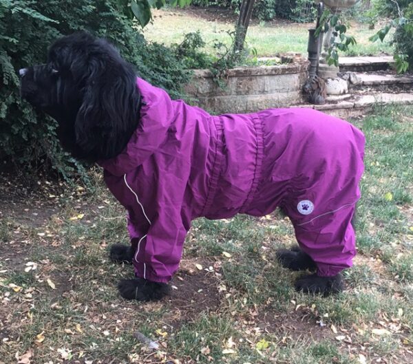 Waterproof raincoat in 6 colours and 2 sizes - Image 7