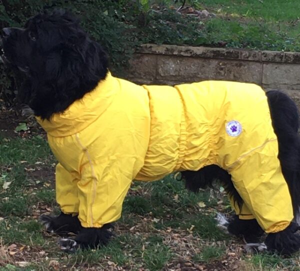 Waterproof raincoat in 7 colours and 2 sizes - Image 8