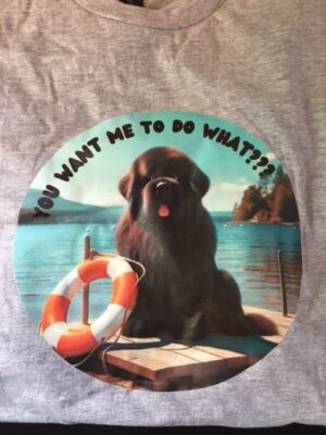 You Want me to do What ?? Slogan T Shirt in 4 colours