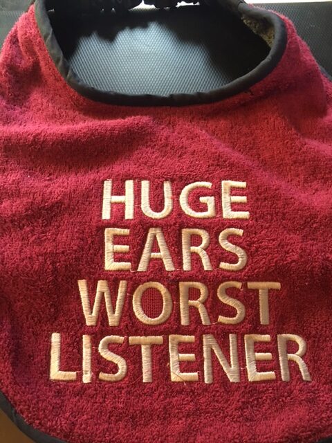 Adult Bib in 3 colours with slogan "Huge Ears Worst Listener" - Image 4