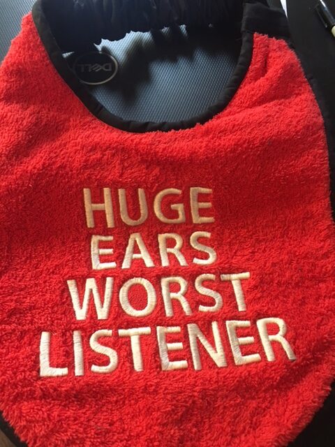 Adult Bib in 3 colours with slogan "Huge Ears Worst Listener"