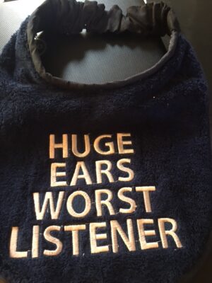 Alternative view of Adult Bib in 3 colours with slogan "Huge Ears Worst Listener"