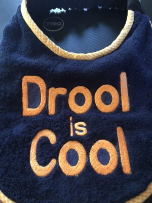 Alternative view of Adult Bib in three colours and slogan "Drool is Cool"