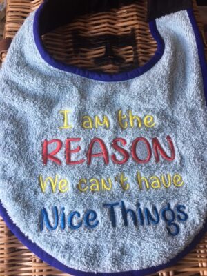 Adult Bib with slogan "I am the reason we can't have nice things"